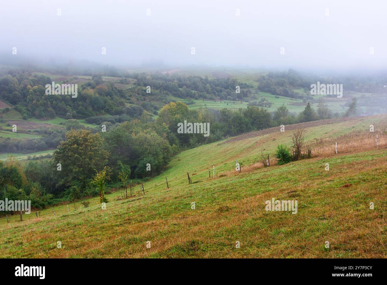 rural scenery with field on the hill. foggy weather. mountainous countryside landscape in autumn. forested slopes. transcarpathian region of ukraine i Stock Photo