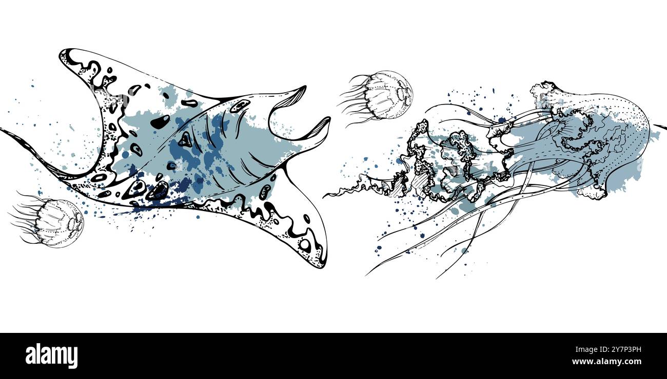 Marine life, sea ocean underwater creatures fish, shells algae seaweed, Ink and pen sketch hand drawn. Seamless banner illustration, stylized Stock Vector