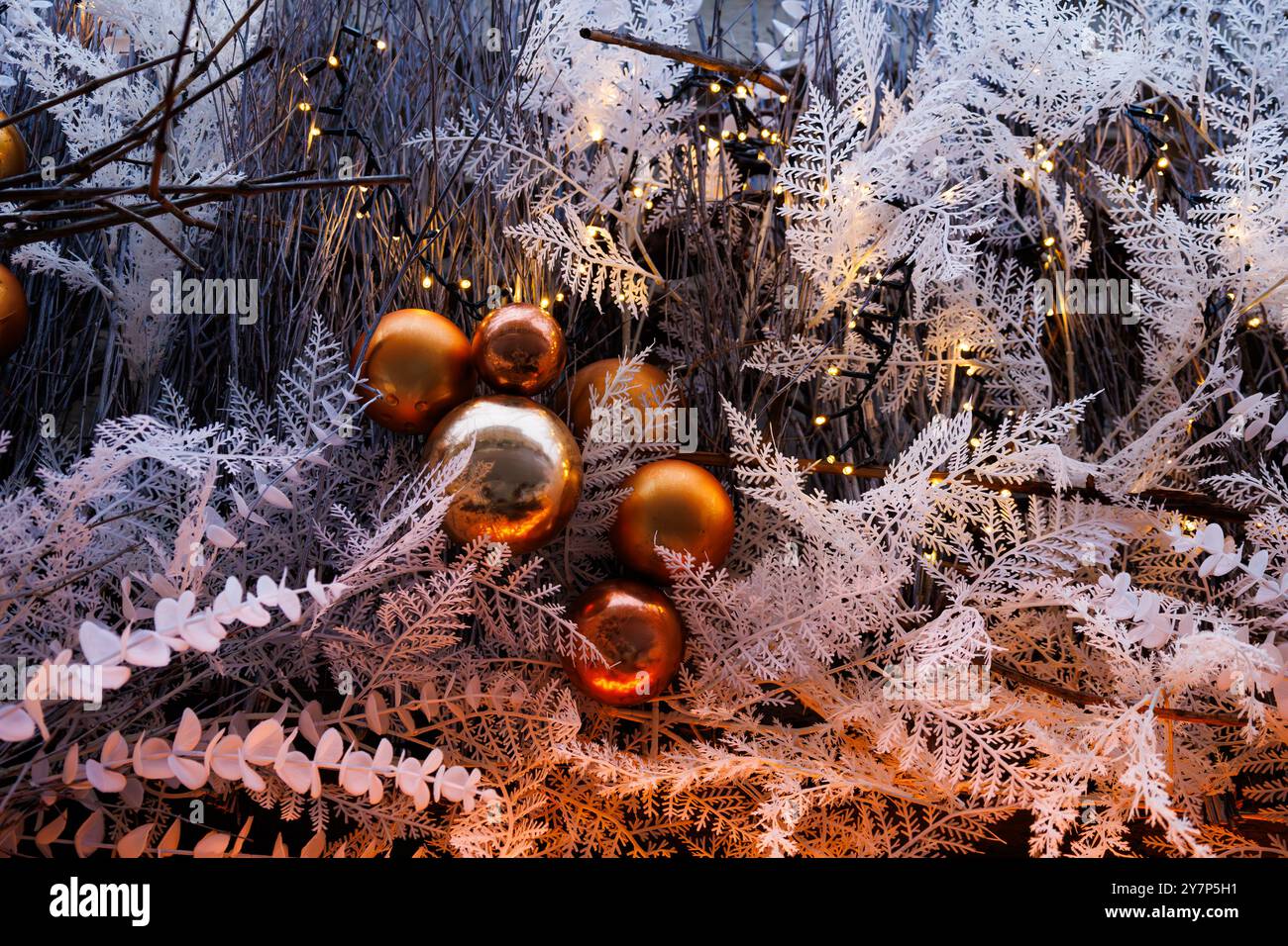 Orange rose with glitter hi-res stock photography and images