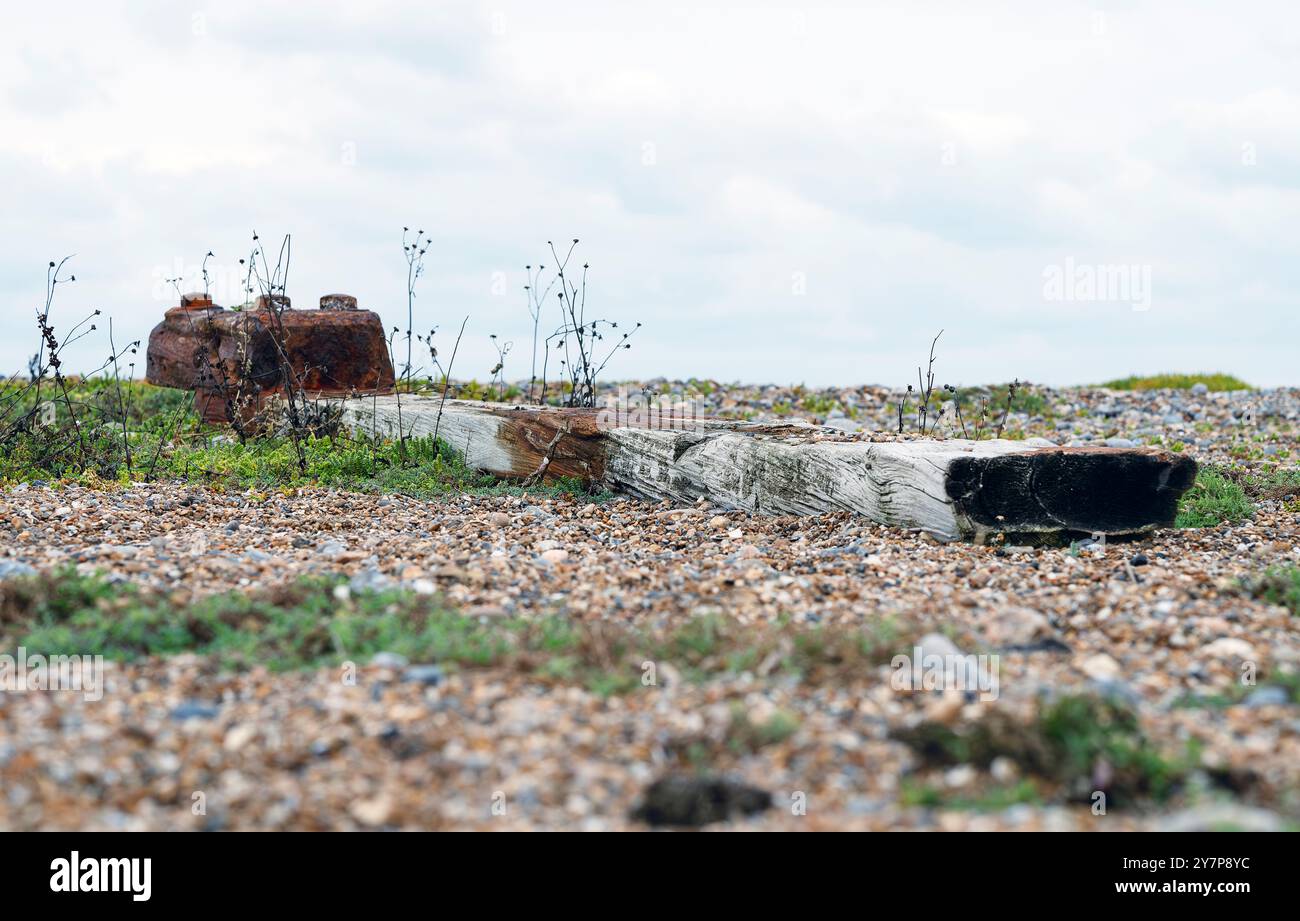 A large length of driftwood with rusting bolts protruding on Cley Beach ...