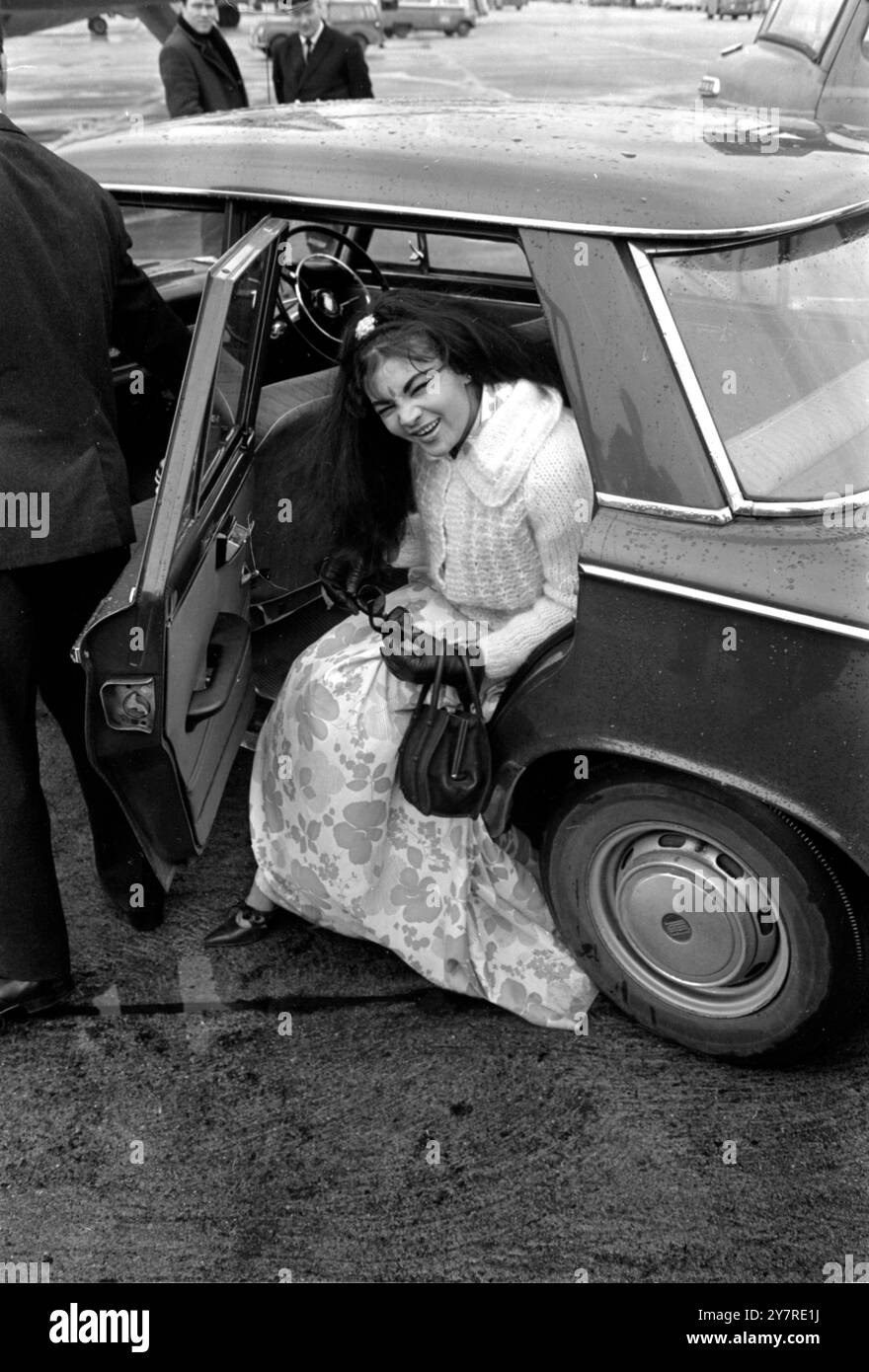 PEERLESS BELLY DANCER TO MAKE MOVIELondon Airport, England, UK : Lady Moynihan, the belly dancer is shown on her arrival at London Airport from Tripoli today. Her father-in-law, the late Lord Moynihan was a former chairman of the Liberal Party. Known previously as Princess Amina, she was born Shirin Berry in Malaya. Lady Moynihan is renowned for her belly dancing skill in night spots throughout the world. In March she is due to appear at the Pigalle nightclub, London, and is beginning a new career as a film star in a £500,000 production called 'Whoosh !' She has the leading role - a girl from Stock Photo