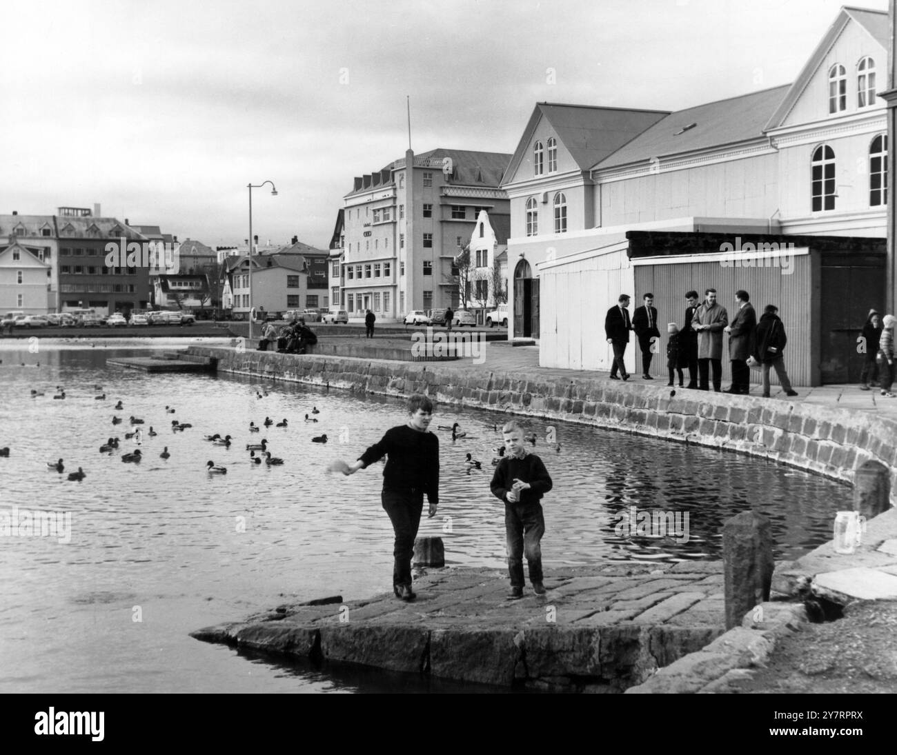 ICELAND DISCOVEREDWild ducks find a home in idyllic Lake Tjornin in the very heart of Reykjavik - Iceland's modern capital. More than 75000 people live in Reykjavik, which is about 40 per sent of Iceland's entire population. With its National Theatre, radio station, university, stadium, museums, libraries and movie houses, Reykjavik is the cultural as well as political and economic centre of the nation. 8 September 1962 Stock Photo