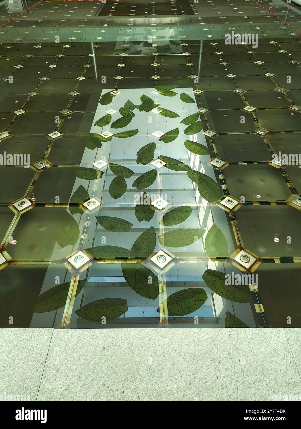 Floor Mosaic of Leaves in a Water Pond at the Doha Conference Center - Smartphone Captured Stock Image