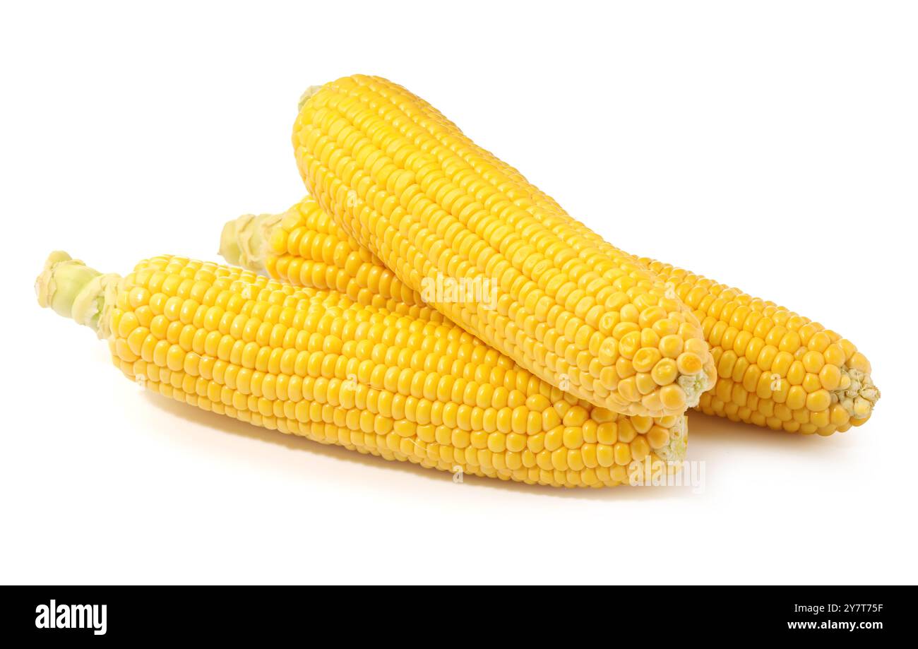 Three fresh ripe corncobs isolated on white Stock Photo
