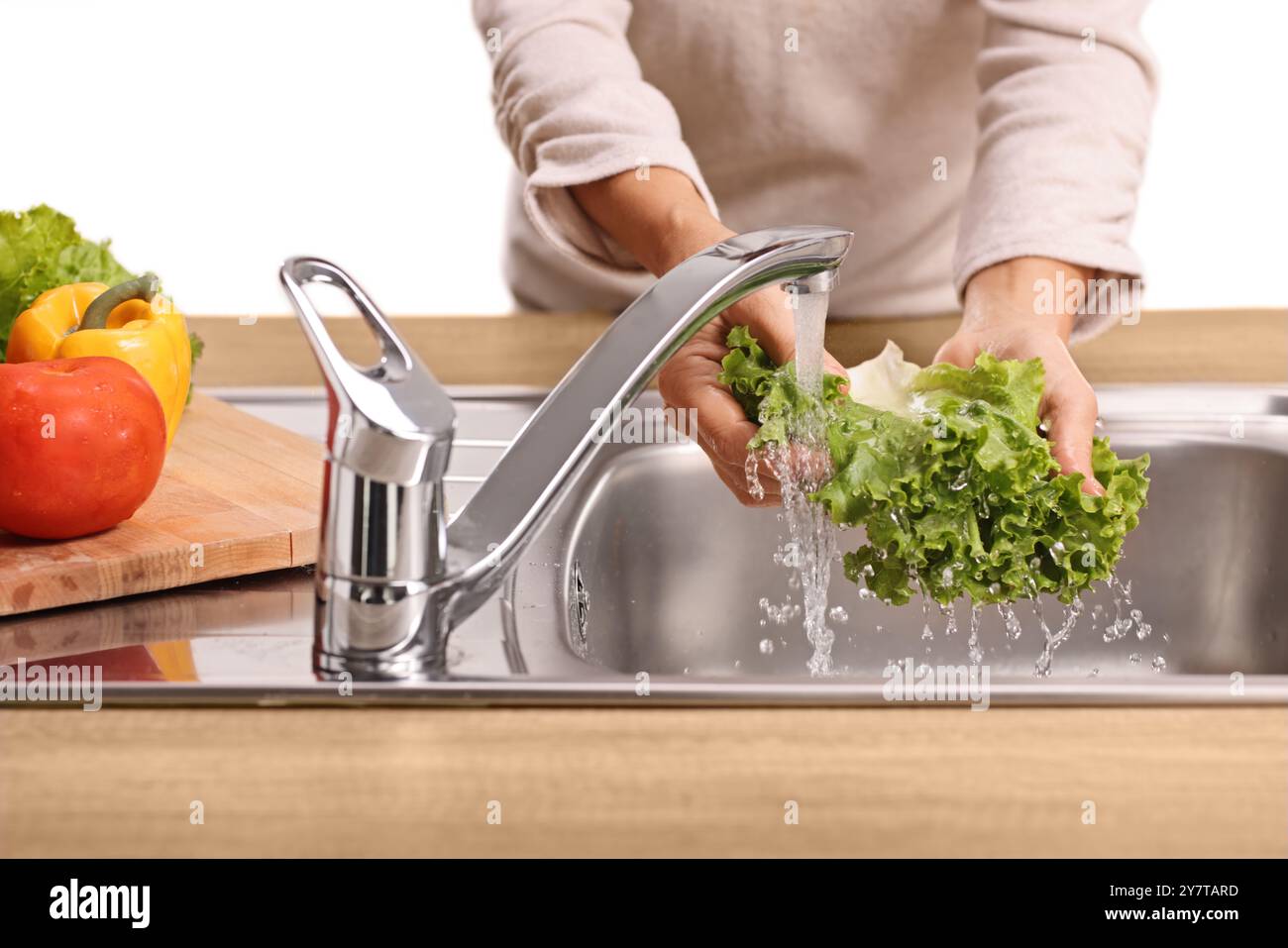 Female hands washing a lettuce salad in a sink isolated on white background Stock Photo