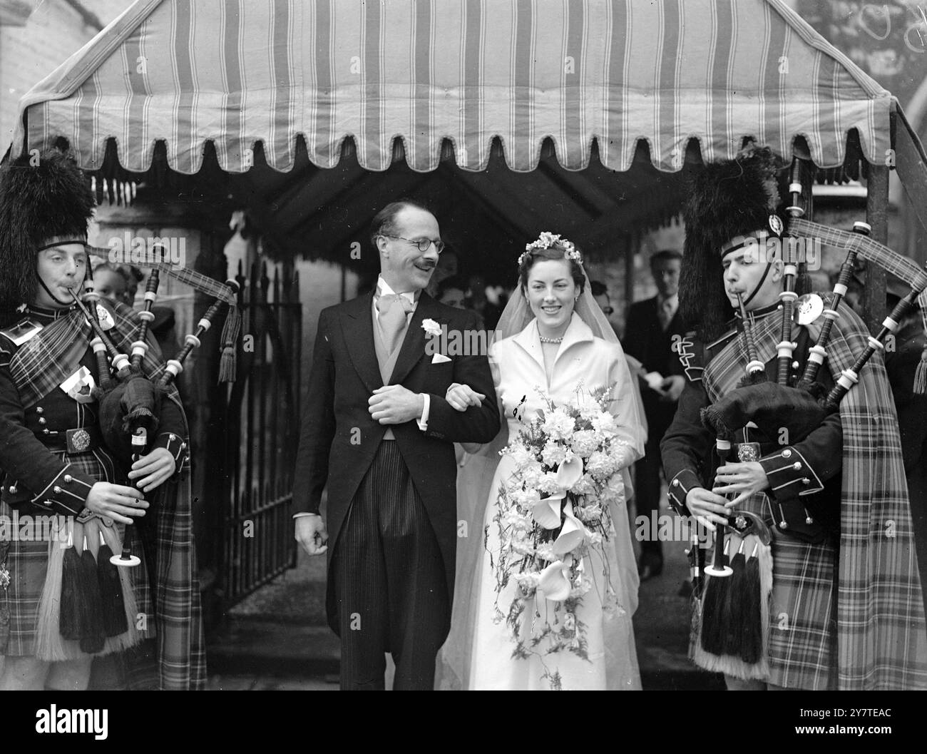 Bulawayo flowers hi-res stock photography and images - Alamy, image size:1300x1057