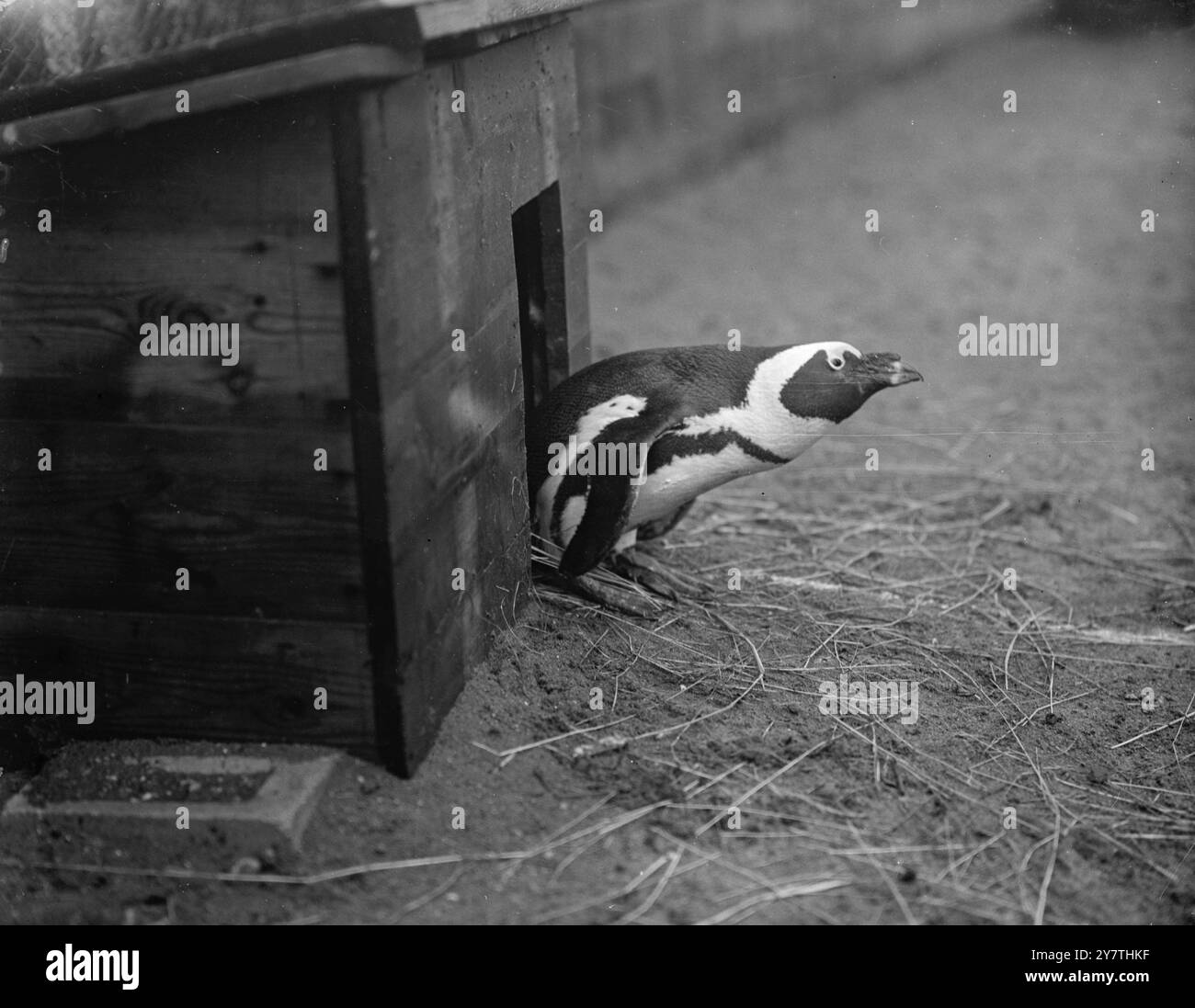 Duty fulfillment Black and White Stock Photos & Images - Alamy