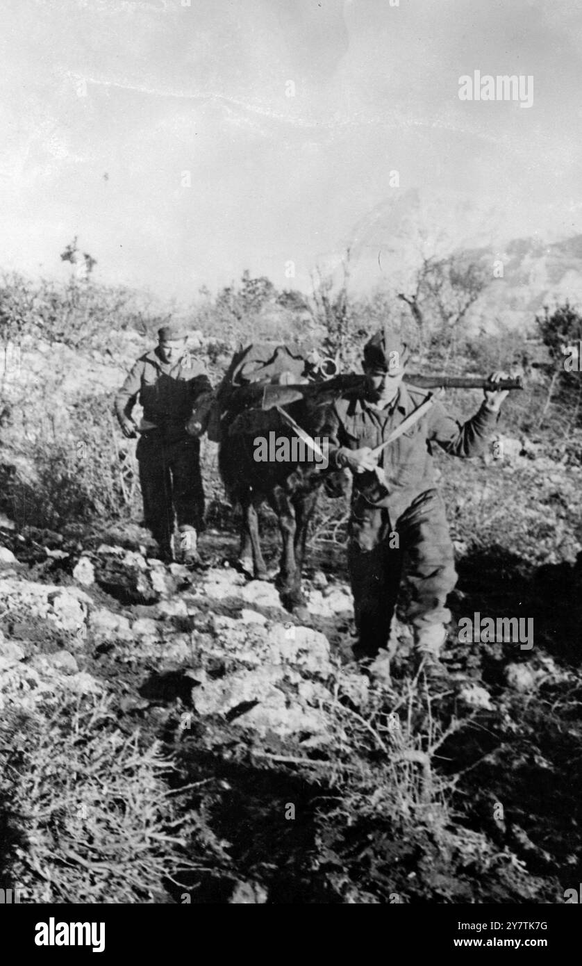 Regular Greek Army Troops using a mule to aid transportation11 January 1948 Stock Photo