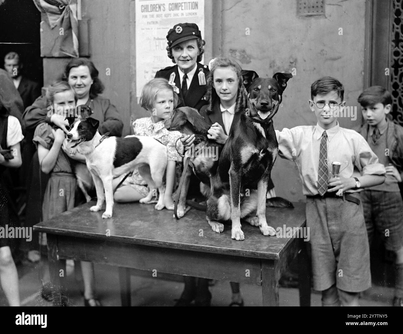 lady-louis-mountbatten-presents-prizes-for-best-kept-dogs-in-london