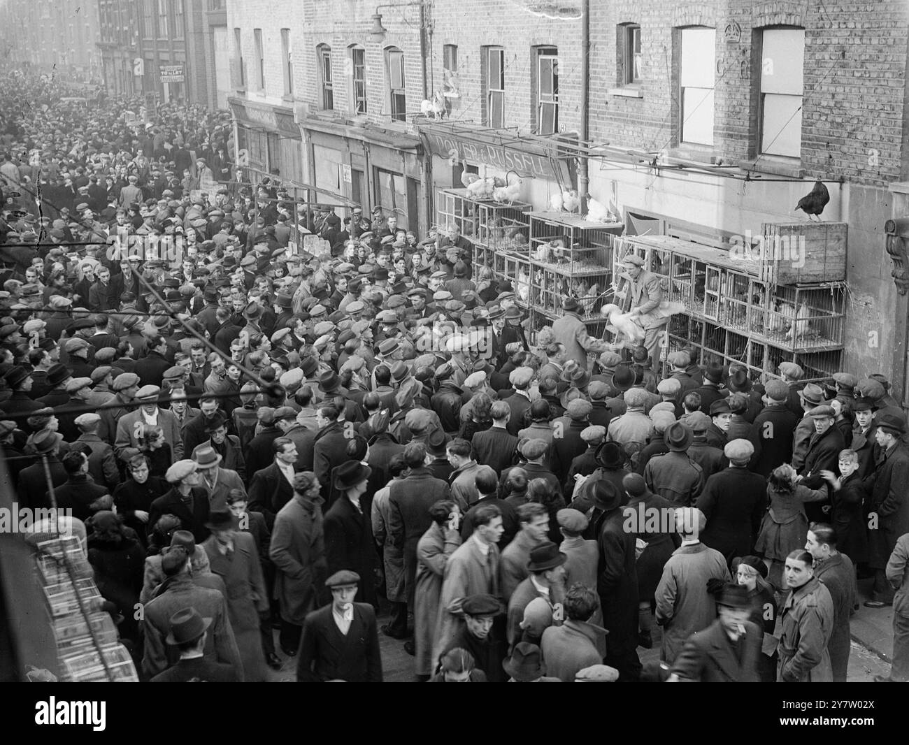 BUYING THEM UP FOR CHRISTMAS - - With the approach of christmas many people make the journey to East London where the Sunday markets are now in full swing. - - Photo Shows: Poultry sales well attended in Sclater Street, Bethnal Green where 'Buy your Xmas dinner alive' seems to be the motto. - - 8 December 1940 Stock Photo