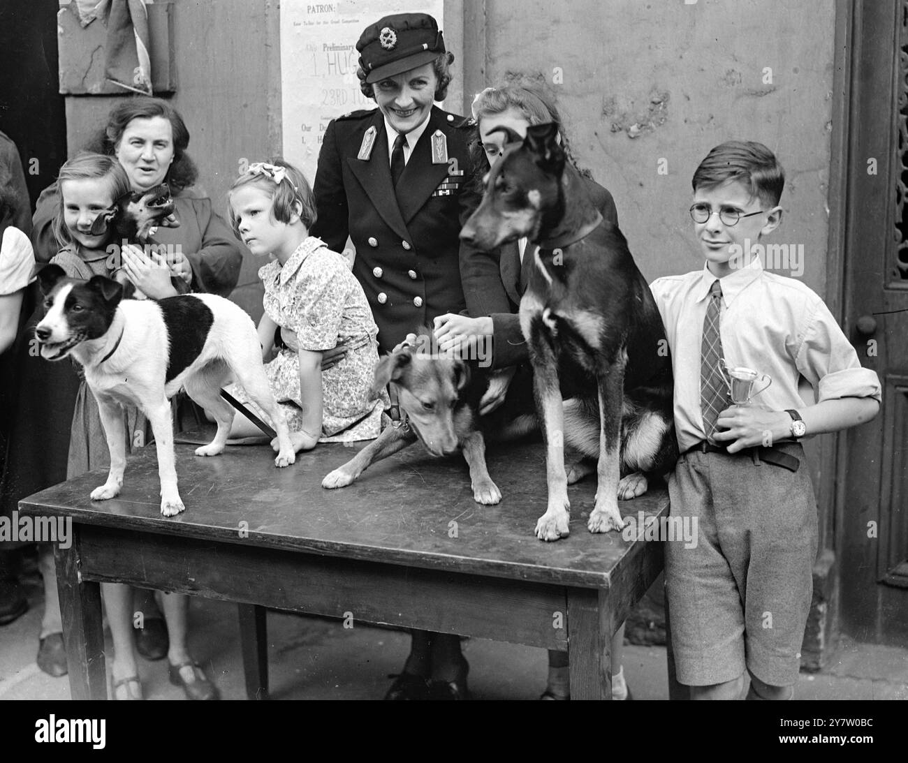 lady-louis-mountbatten-presents-prizes-for-best-kept-dogs-in-london