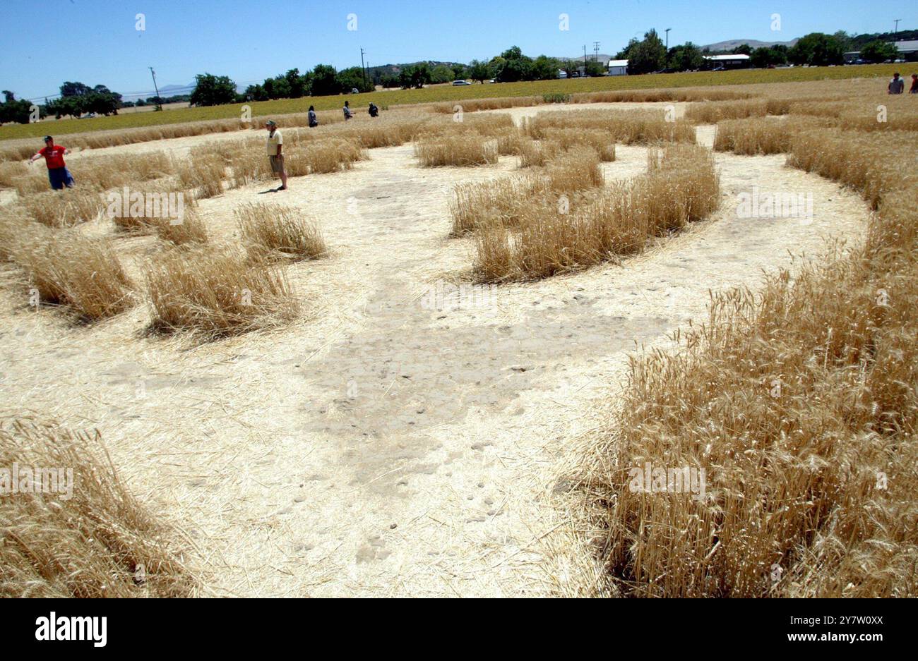Crop circles alien hi-res stock photography and images - Page 2 - Alamy, image size:1300x937
