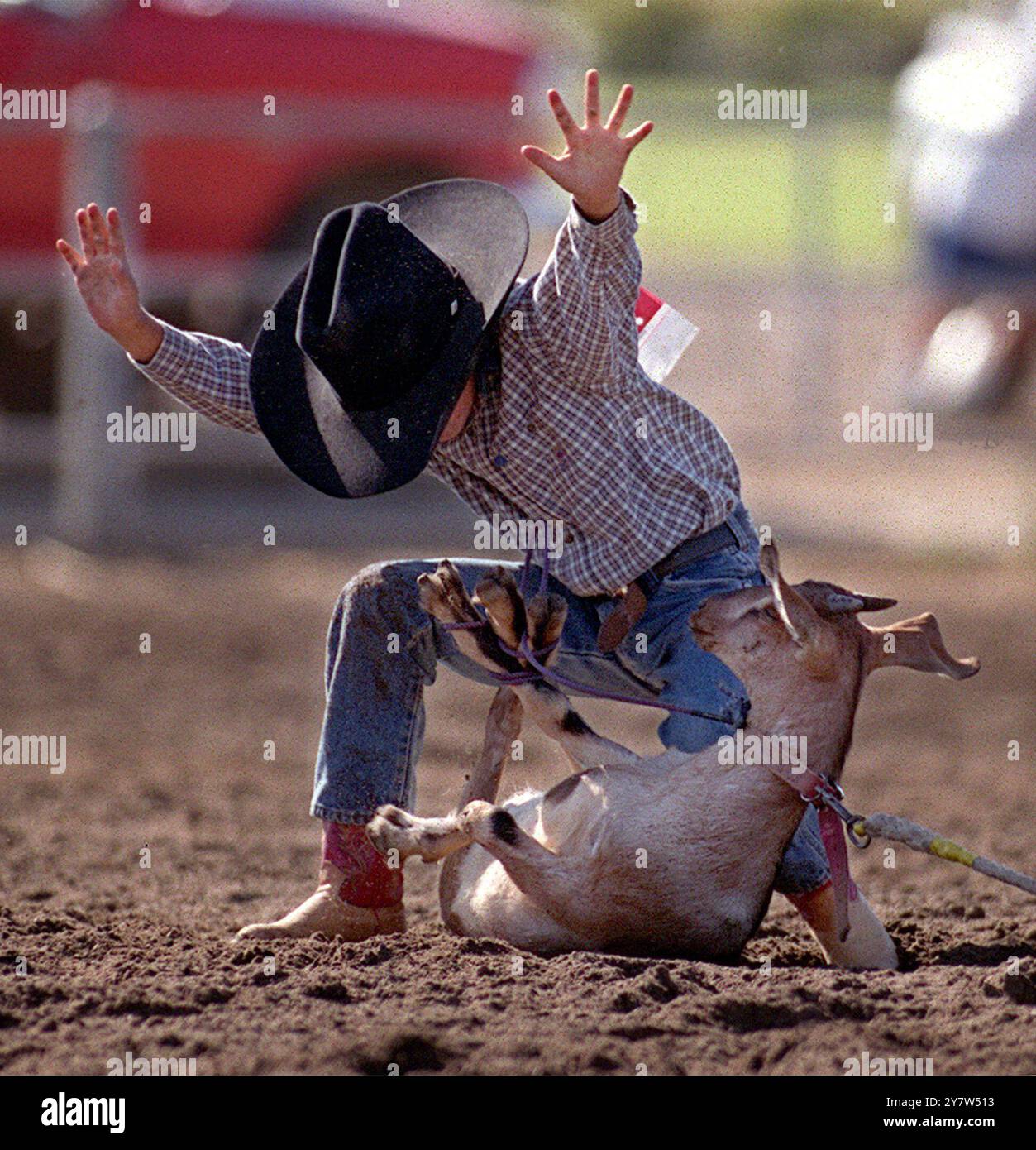 Local Goat Roping Events Goat roping hi-res stock photography and images - Alamy