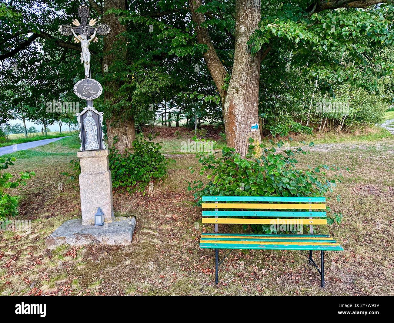 The photo depicts a rural landscape with trees and a clear blue sky, showcasing detailed elements of the summer season. - Smartphone Captured Stock Image