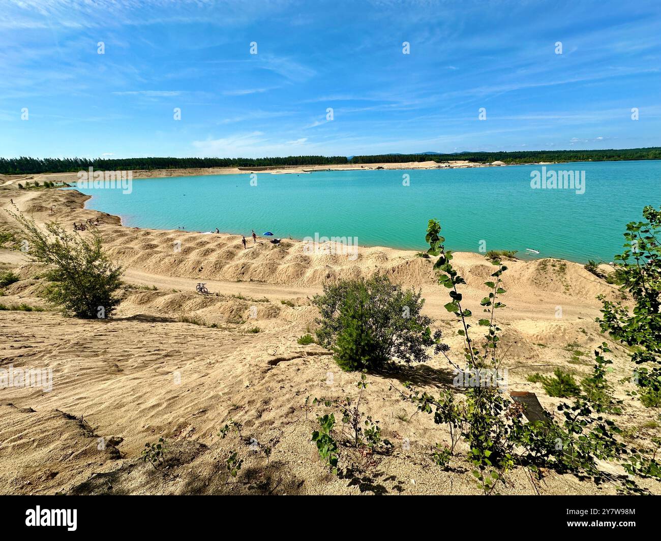 The photo depicts a rural landscape with trees and a clear blue sky, showcasing detailed elements of the summer season. - Smartphone Captured Stock Image