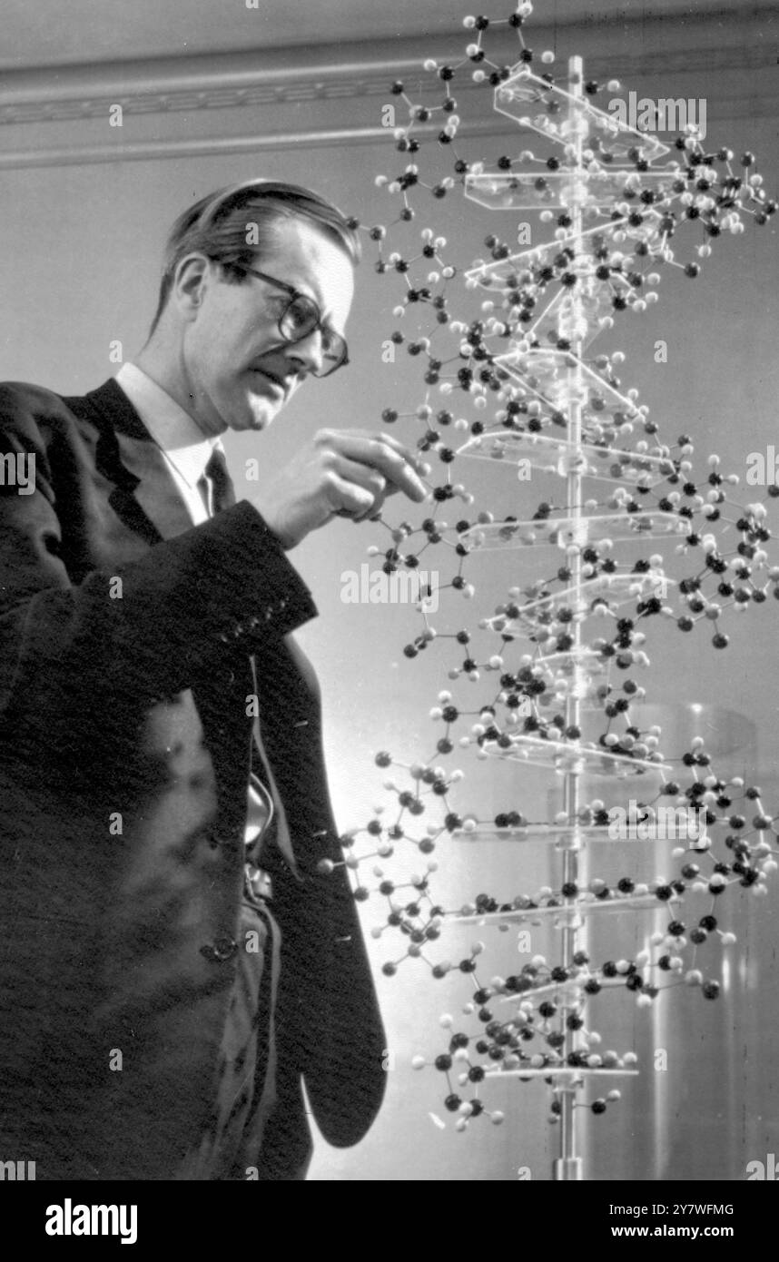 dr-maurice-hugh-frederick-wilkins-with-a-study-model-of-dna-molecular