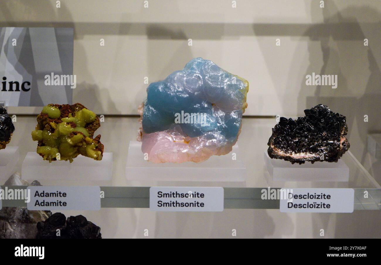 Display of mineral specimens including amaita, descloizite, and smithsonite, showcasing unique geological formations and crystal structures. Stock Photo