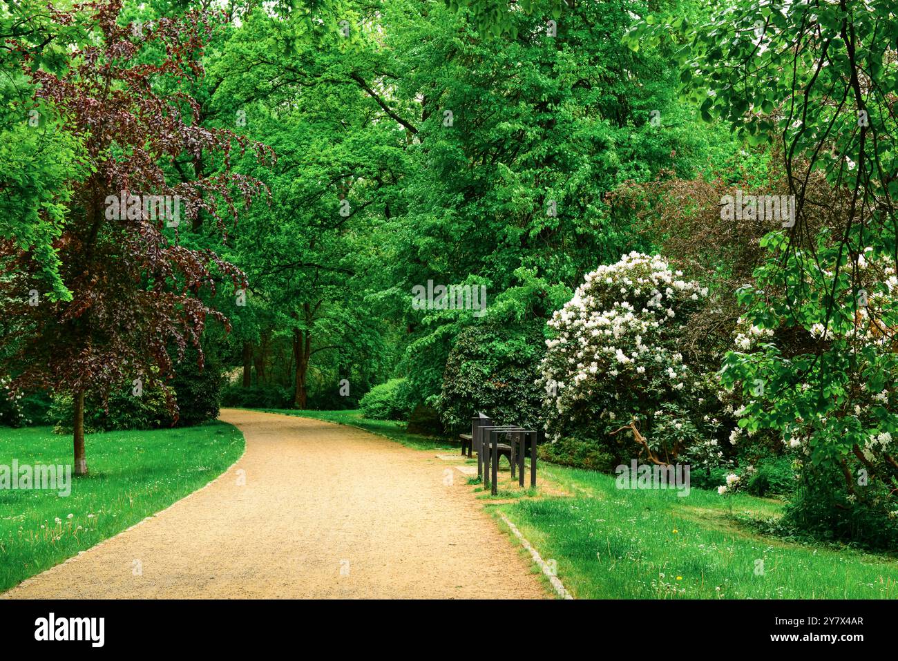 View of beautiful park with alley and green trees Stock Photo - Alamy