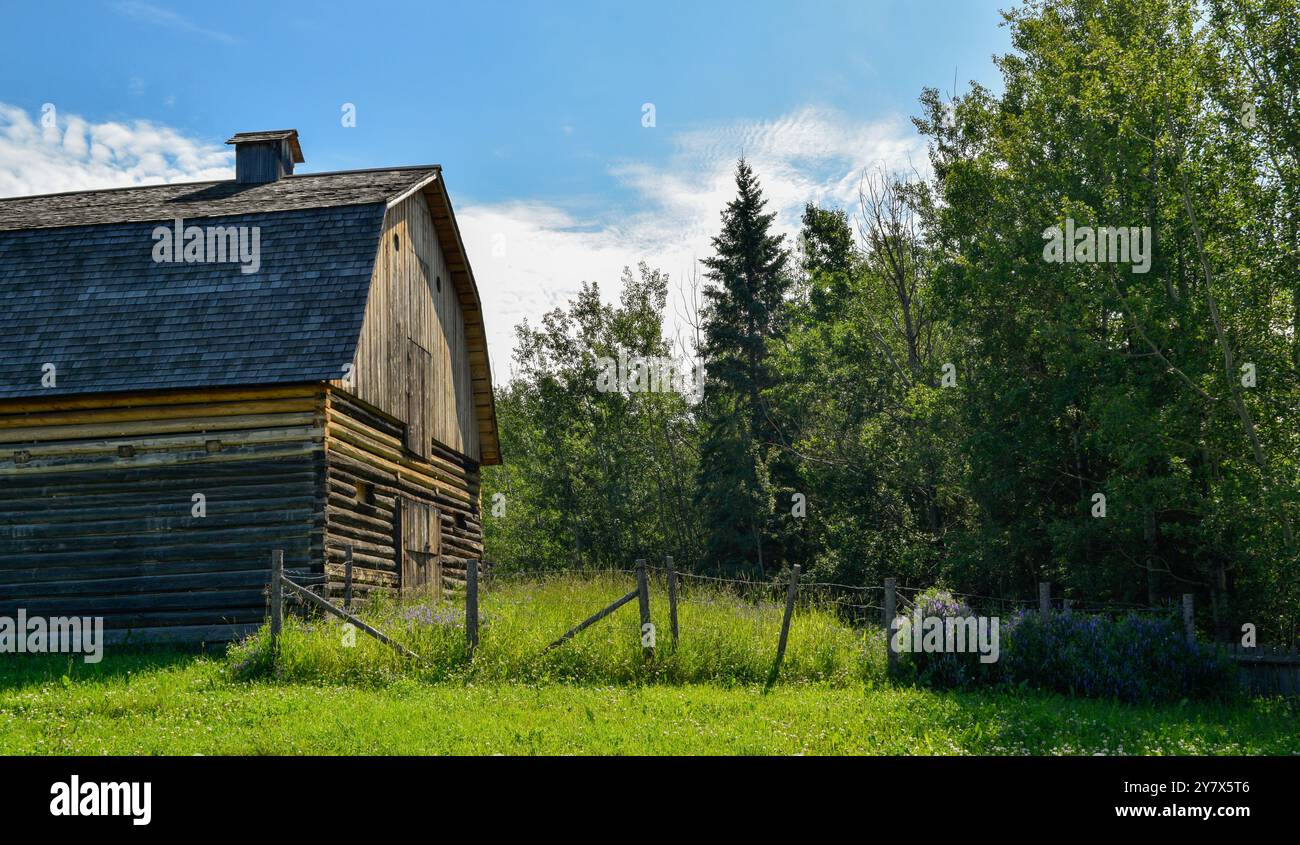 Wooden Cabins surrounded by nature at Ukrainian Heritage Village in Canada, on a sunny day Stock Photo