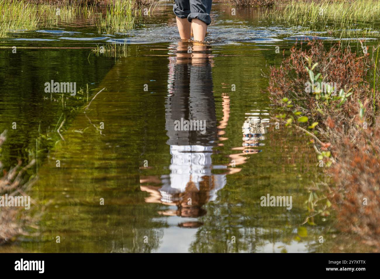 Anonymous woman walking a flooded boardwalk in the Mastbos, a small forest located on the edge of Breda, the Netherlands. Stock Photo