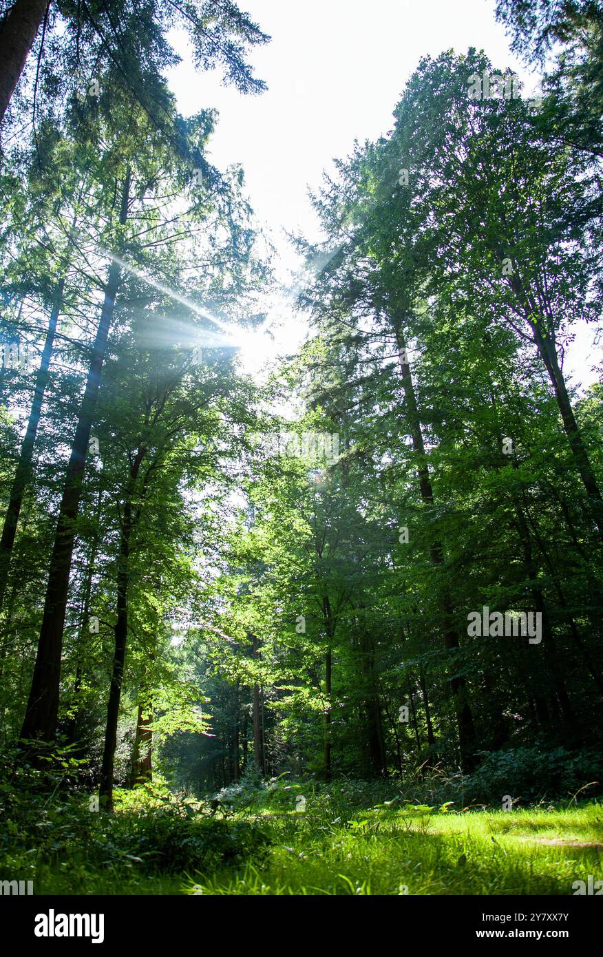 Beautiful day outside hi-res stock photography and images - Alamy
