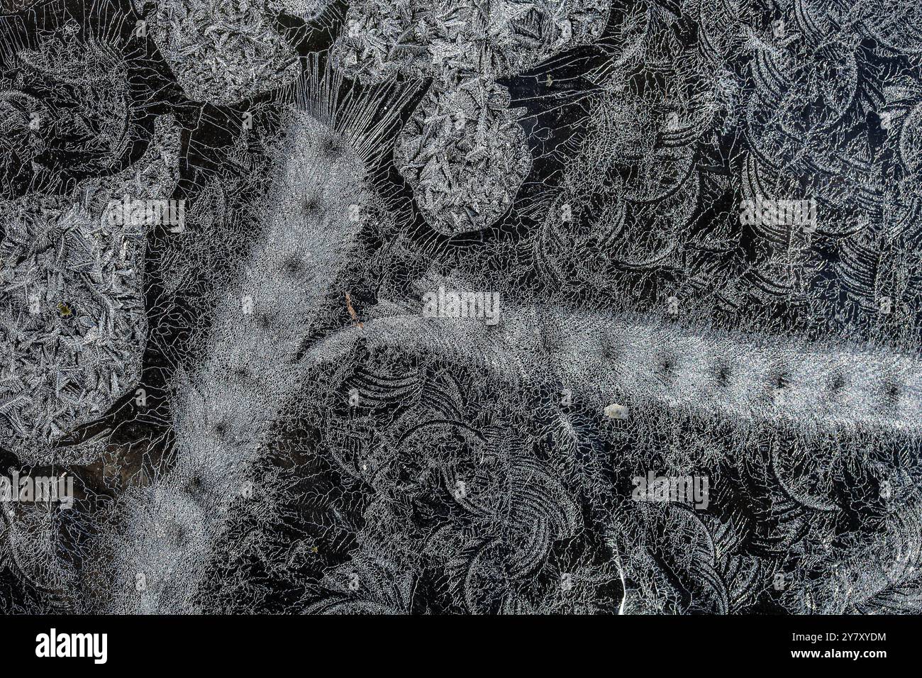 Hoarfrost on window pane Stock Photo
