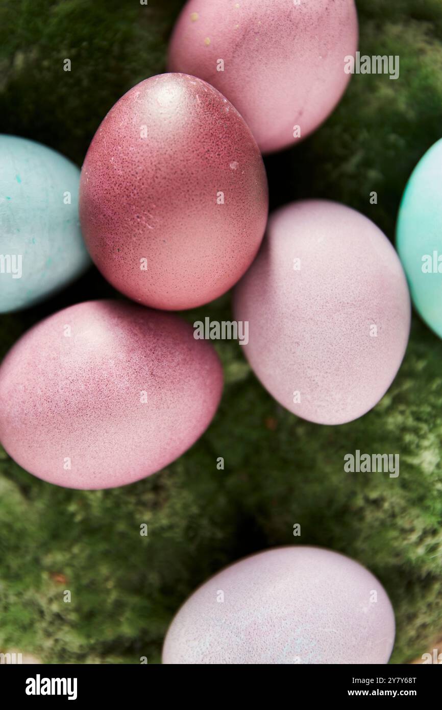 Colourful Easter eggs on green moss Stock Photo