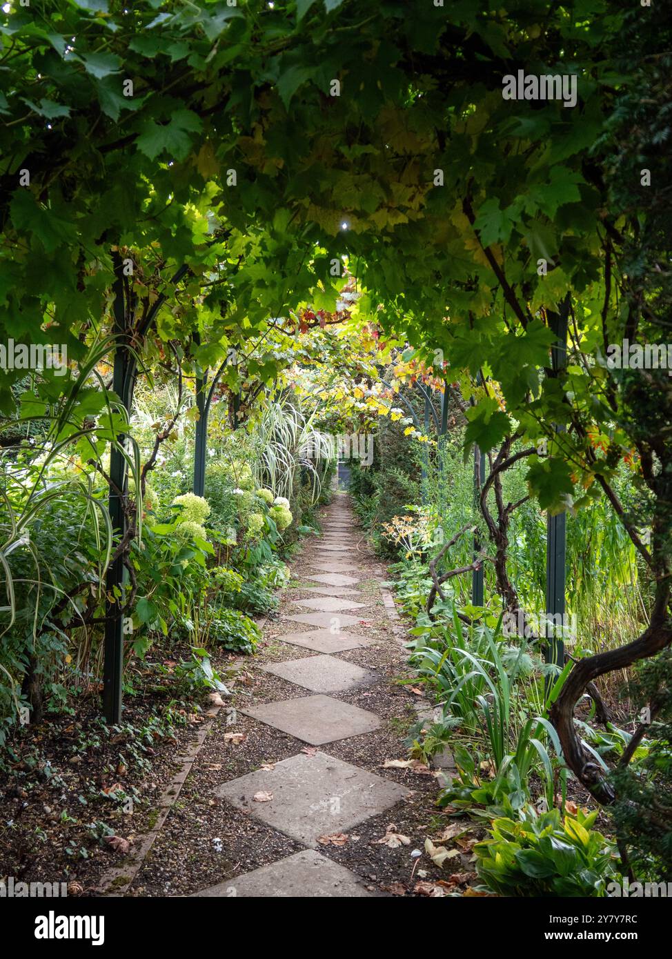 Paving gravel path in garden hi-res stock photography and images - Page 2 -  Alamy, image size:974x1390