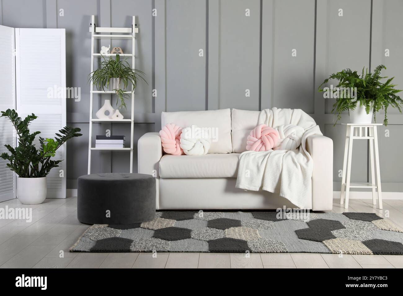 Beautiful living room interior with cozy sofa Stock Photo - Alamy