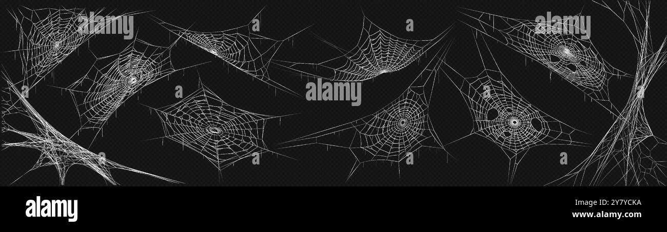Cobwebs patterns variations realistic color icons set Stock Vector
