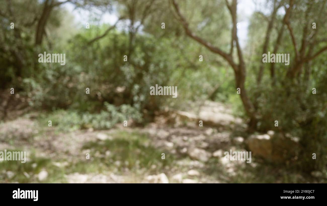 Blurred background of an outdoor scene in mallorca featuring defocused ...