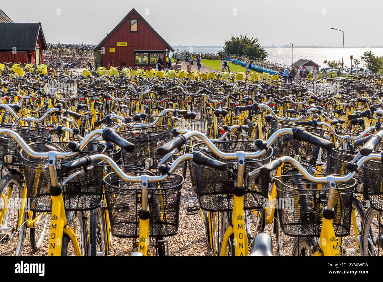 Around 1,500 yellow bicycles for adults and children, with trailers or child seats or as tandems, are available for hire on the island of Ven. There are only a few cars on the small island in the Öresund, but around 12 kilometers of cycle paths. Landsvägen, Sankt Ibb, Skåne län, Sweden Stock Photo