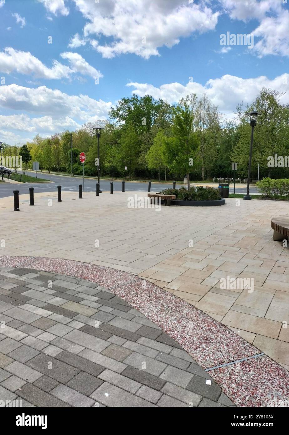 Blending Nature’s Beauty with Historic Wooden Houses in a park in Maryland - Smartphone Captured Stock Image