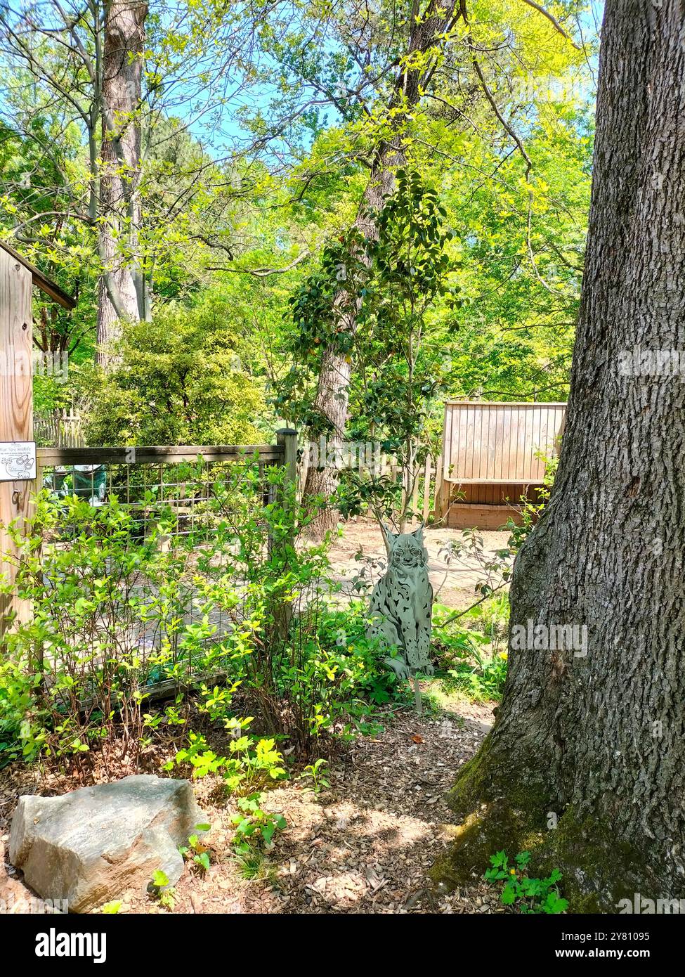 Blending Nature’s Beauty with Historic Wooden Houses in a park in Maryland - Smartphone Captured Stock Image