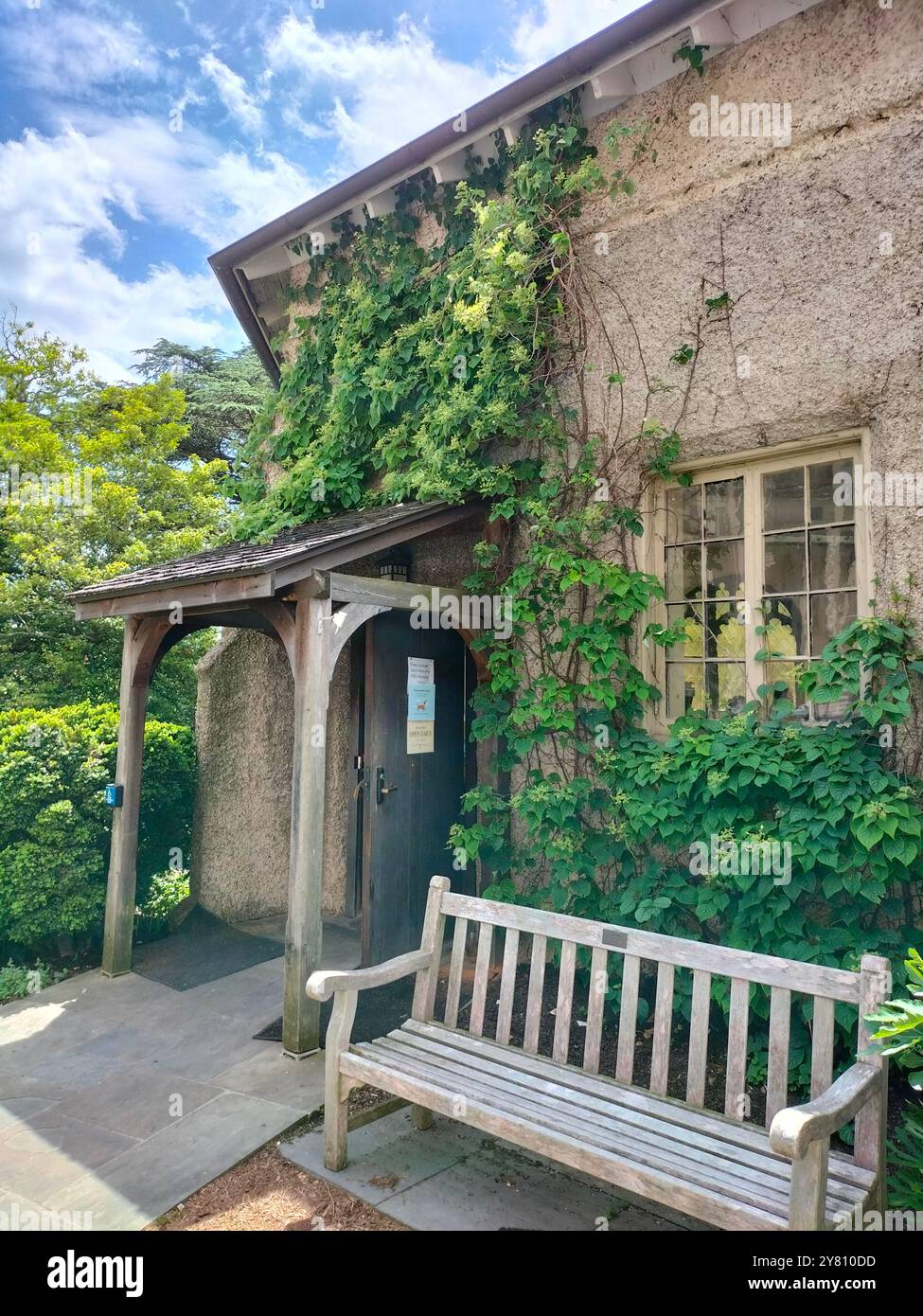 Architectural Marvel and Lush Greenery Surrounding Washington National Cathedral - Smartphone Captured Stock Image