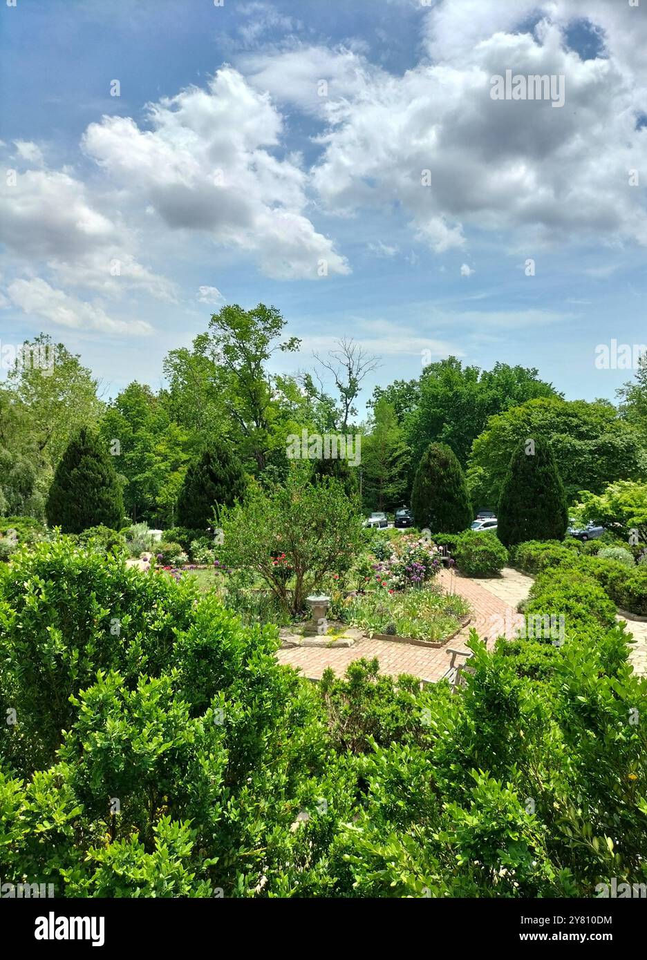 Architectural Marvel and Lush Greenery Surrounding Washington National Cathedral - Smartphone Captured Stock Image