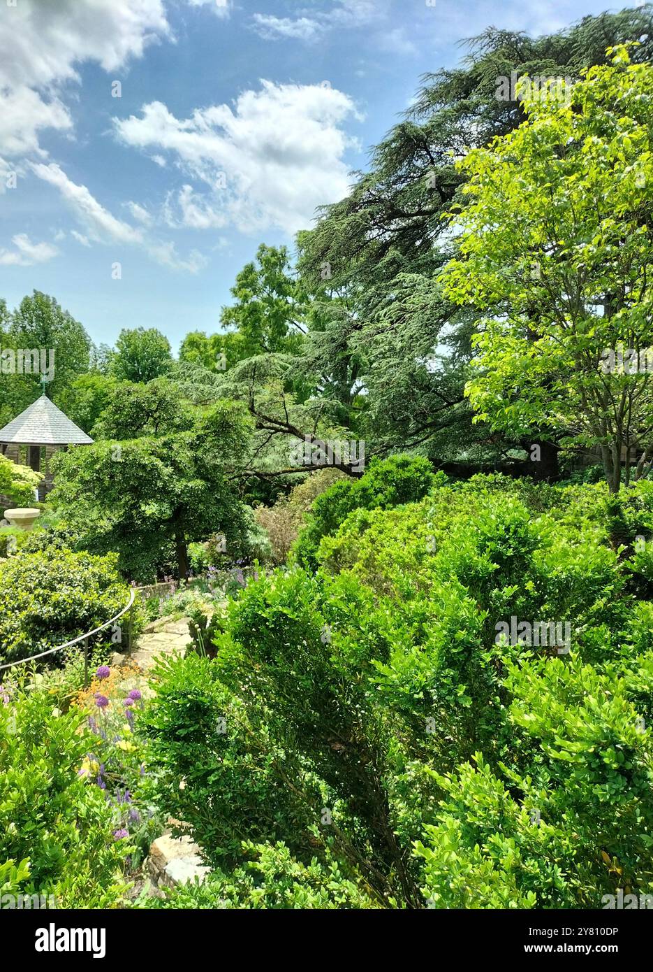 Architectural Marvel and Lush Greenery Surrounding Washington National Cathedral - Smartphone Captured Stock Image