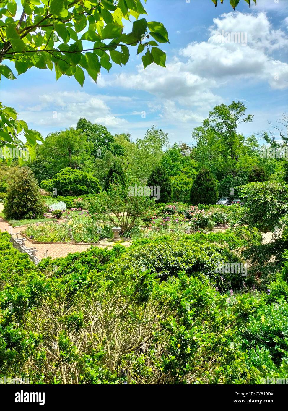 Architectural Marvel and Lush Greenery Surrounding Washington National Cathedral - Smartphone Captured Stock Image