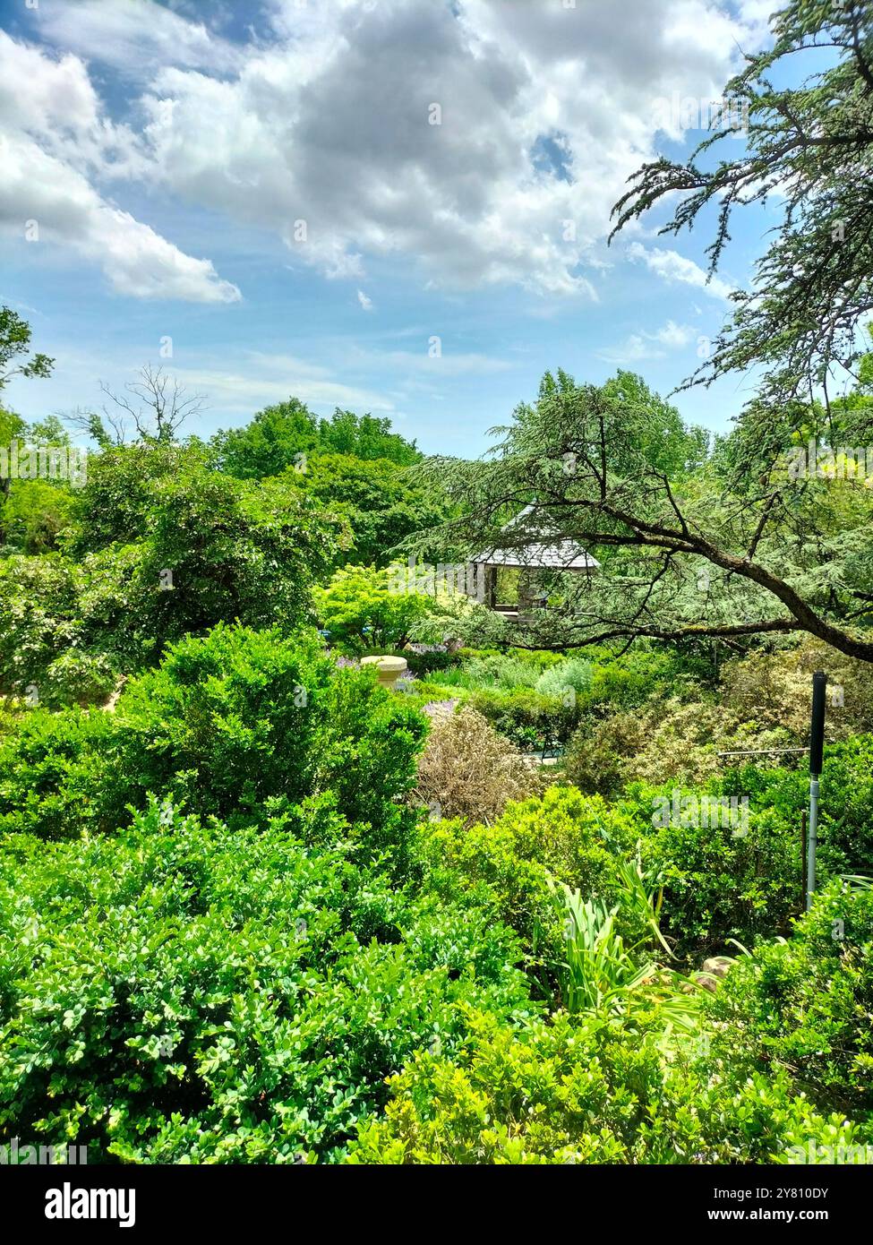 Architectural Marvel and Lush Greenery Surrounding Washington National Cathedral - Smartphone Captured Stock Image