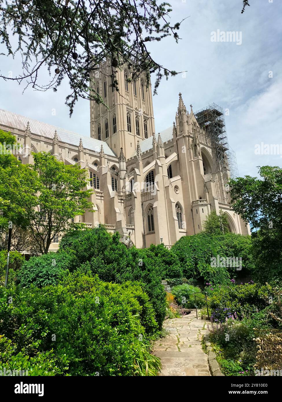 Architectural Marvel and Lush Greenery Surrounding Washington National Cathedral - Smartphone Captured Stock Image