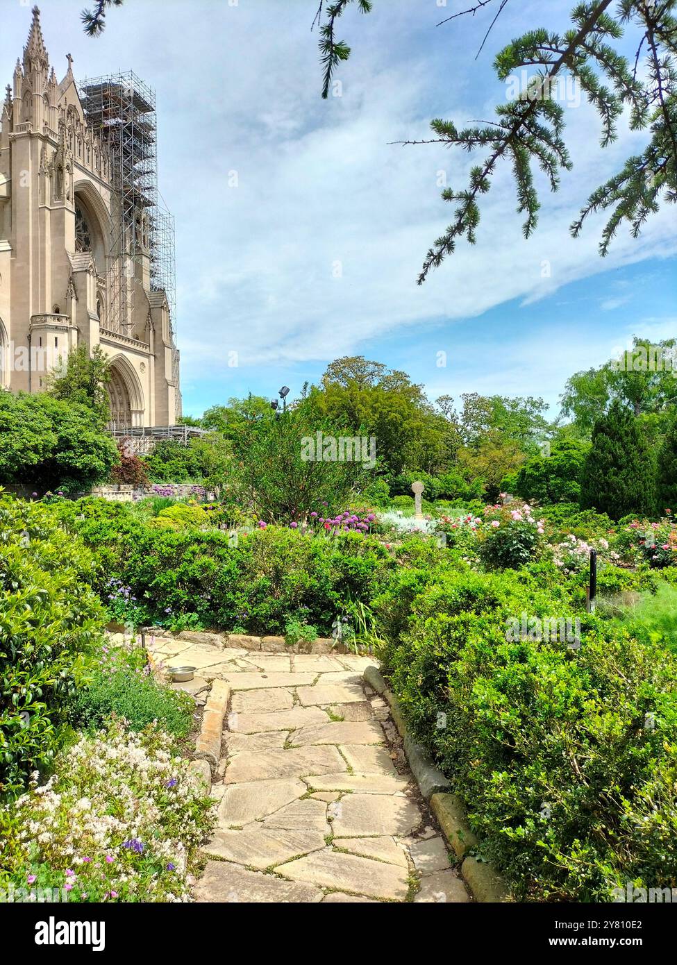 Architectural Marvel and Lush Greenery Surrounding Washington National Cathedral - Smartphone Captured Stock Image