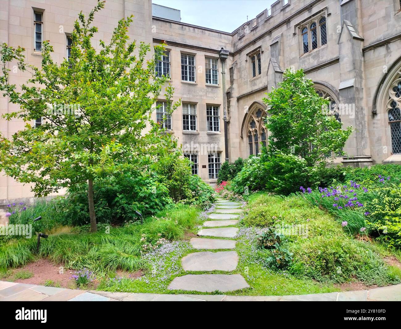 Architectural Marvel and Lush Greenery Surrounding Washington National Cathedral - Smartphone Captured Stock Image