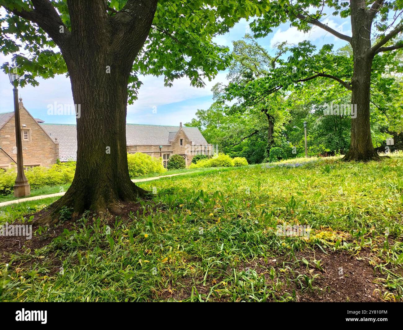 Architectural Marvel and Lush Greenery Surrounding Washington National Cathedral - Smartphone Captured Stock Image