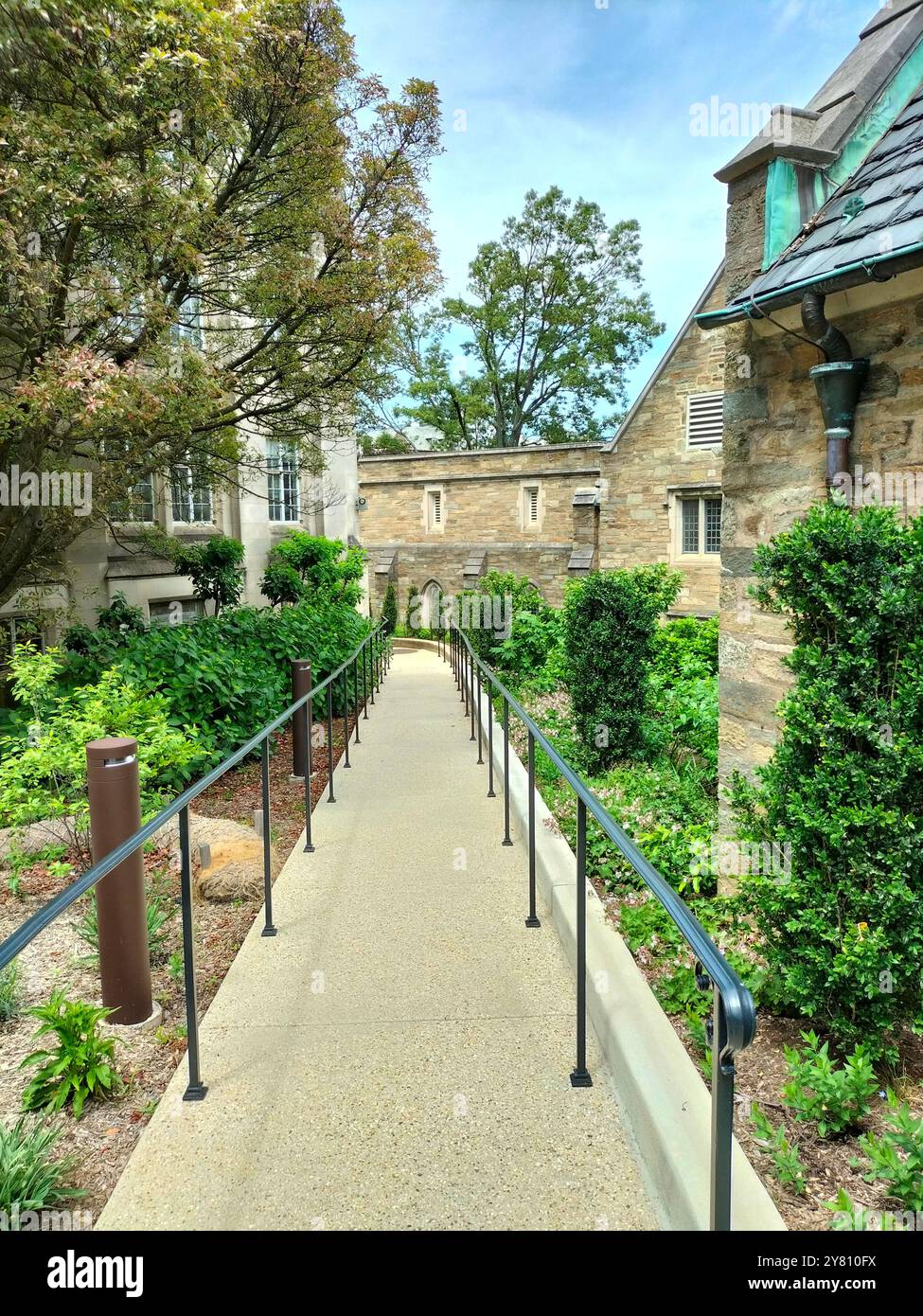 Architectural Marvel and Lush Greenery Surrounding Washington National Cathedral - Smartphone Captured Stock Image