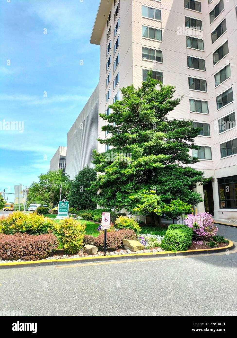 Capturing the Architectural Beauty of Downtown Bethesda, MD on a Perfect Sunny Day - Smartphone Captured Stock Image