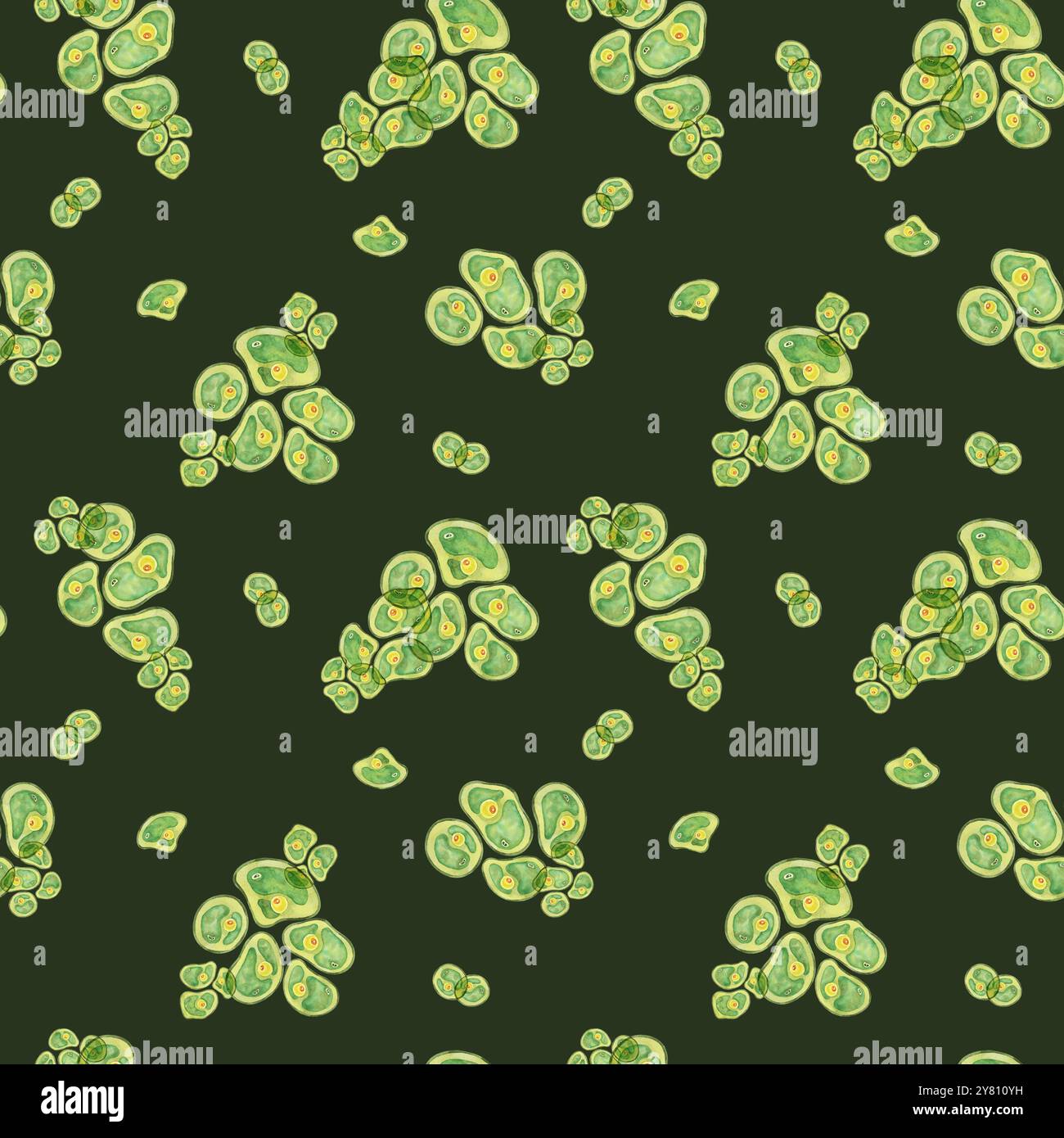 Chlorella algae cells in watercolor on dark green background. Seaweed ...