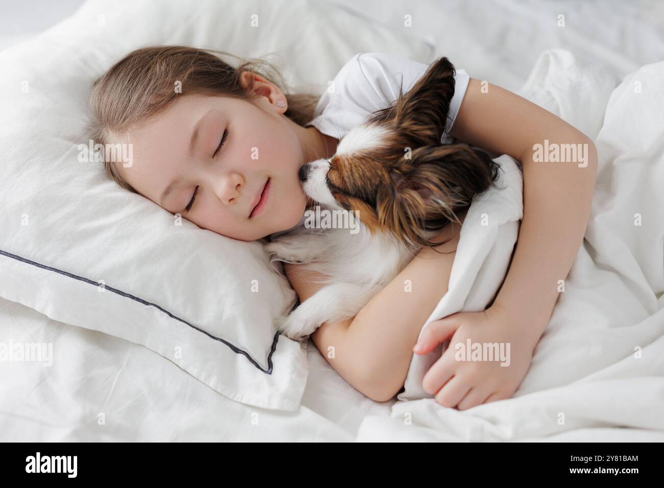 little girl sleeping in bed with her cute papillon dog Stock Photo - Alamy