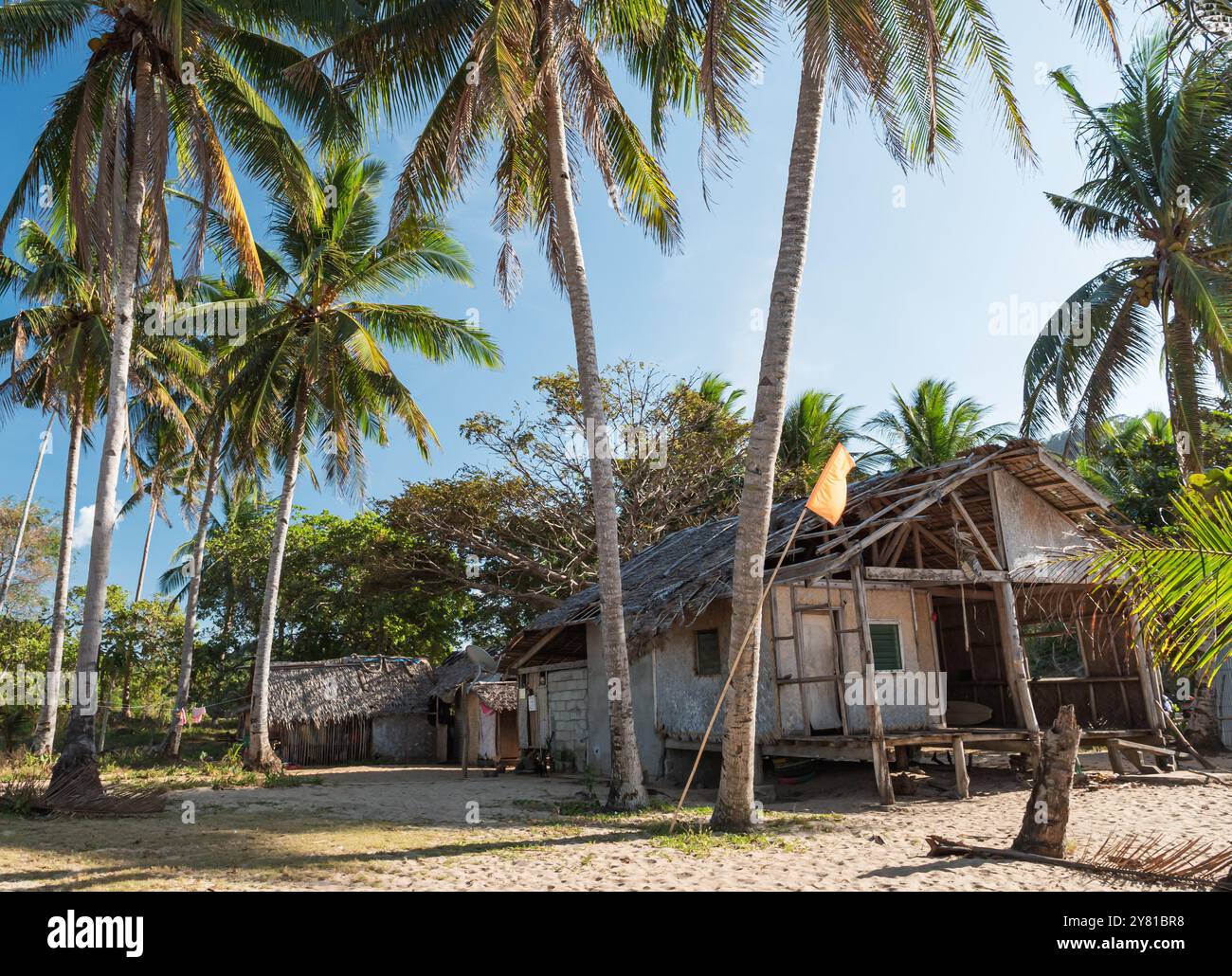 Tropical beachside huts surrounded by palm trees under a clear blue sky ...