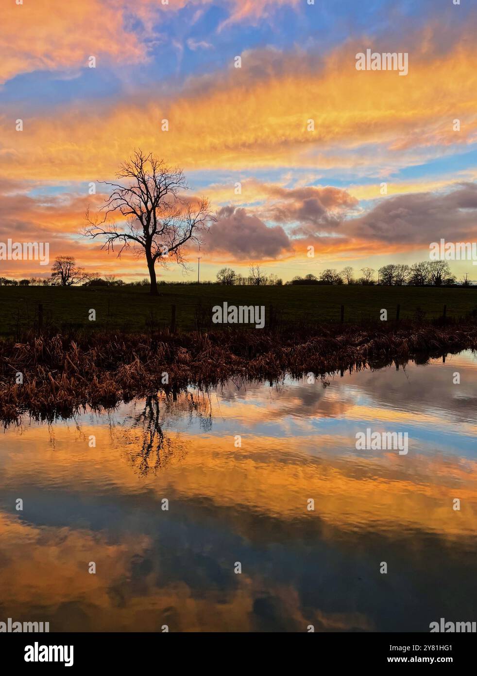 Colourful winter sunset reflected in rural canal with lone tree and empty countryside in background. - Smartphone Captured Stock Image