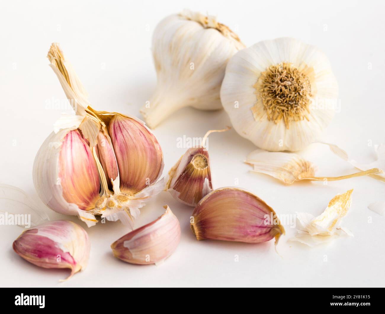 Garlic heads and cloves on white background Stock Photo - Alamy